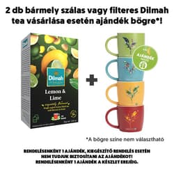 Dilmah Citrom & Lime aromás fekete tea aromazáró dobozban