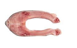 PANARINI Pontypatkó (kb. 3-4 db)