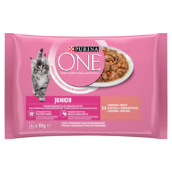 Purina One Junior Wet cat food with salmon and carrots