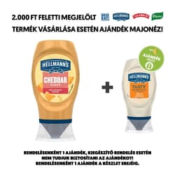 Hellmann's Cheddar szósz