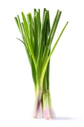 Spring onions, purple, lumpy