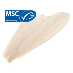 FJORU MSC Sima lepényhalfilé