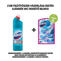 Domestos Extended Power Atlantic Fresh fertőtlenítő hatású folyékony tisztítószer, 750 ml