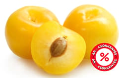 Sungold fajtájú sárga szilva, lédig
