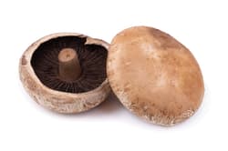 Gourmet Portobello Gomba