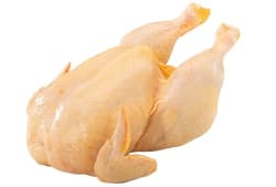 Bio friss egész csirke