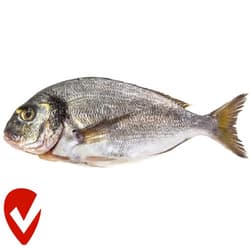 Fjoru Bio aranydurbincs