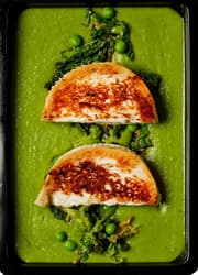 Fruccola Grilled goat cheese, sugar snap peas
