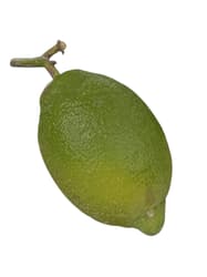 Lemons Amalfi