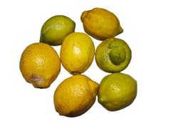 Organic Lemons, II class, loose