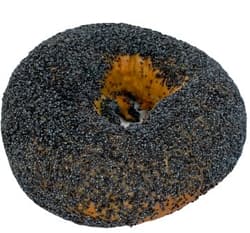 Budapest Bagel with Poppyseed Topping