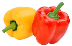 BIO Californian pepper bicolor