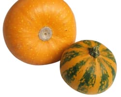 Decorative gourd 1pcs