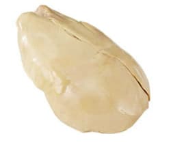fattened goose liver
