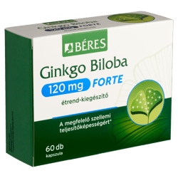 Berries Ginkgo Biloba 120 mg Forte capsules 60x