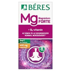 Berry Magnesium 400 mg+B6 Forte film-coated tablets 50x