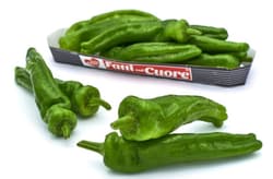 Mini Capsicum Green