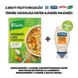 Knorr Telis-Tele Soups liver dumpling soup with snail pasta