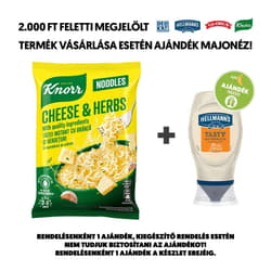 Knorr Noodles cheese instant noodles