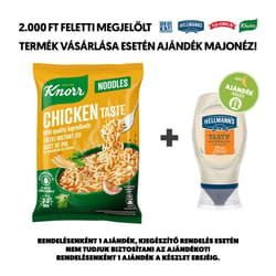 Knorr Noodles chicken flavored instant noodles