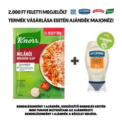 Knorr Fix milánói makaróni alap