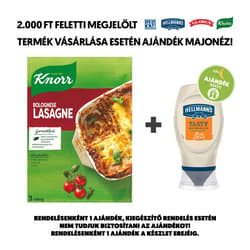 Knorr Fix lasagne tészta bolognai mártással