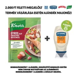 Knorr Fix gyros alap fokhagymás dresszinggel /30g+10g/