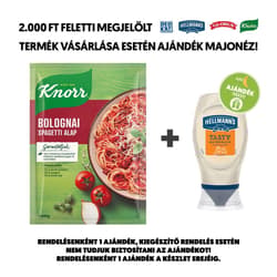 Knorr Fix bolognai spagetti alap