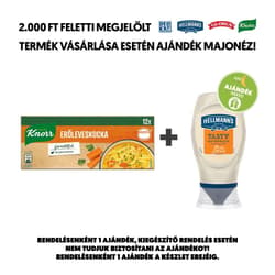 Knorr power cube