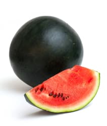 Hazai Style fajtájú feketehéjú görögdinnye, lédig