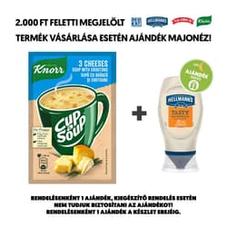 Knorr Cup with Soup 3 cheese cream soup with bun cubes