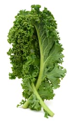 Curly kale