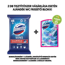 Domestos Ocean fertőtlenítő hatású higiénikus törlőkendő, 60 db