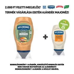 HELLMANN’S Chunky Burger szósz