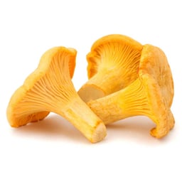 Mushrooms