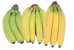 BIO fruits