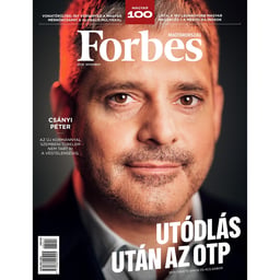 Könyv, magazin, gyűjthető kártya, kreatív fejlesztők