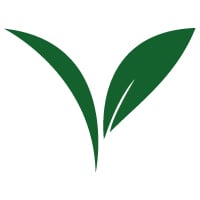 Dairy alternatives