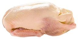 Poultry