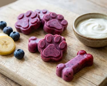 Dog ice cream, even for owners