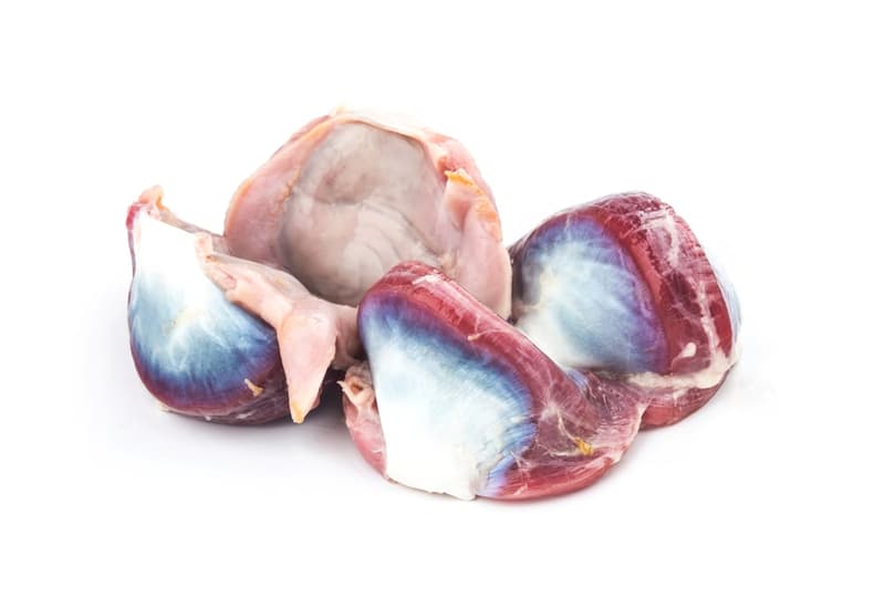 fattened goosegizzard