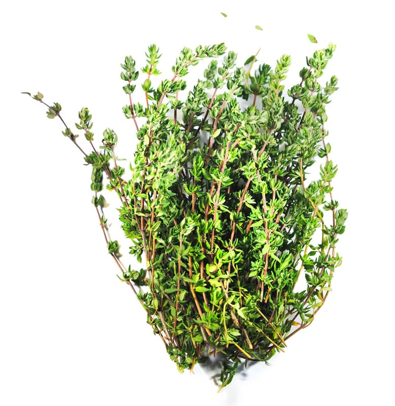 Thyme cut