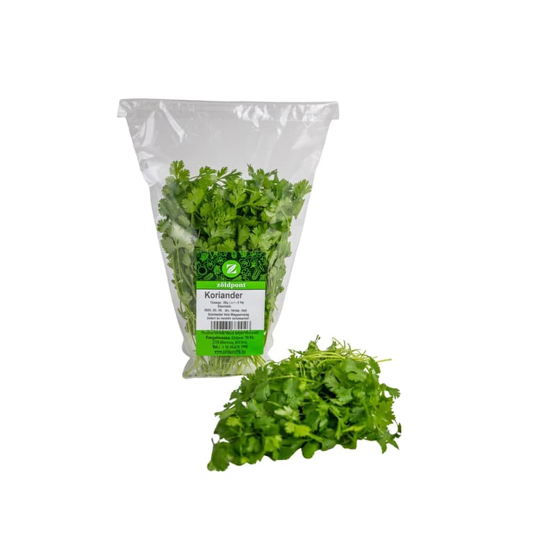 Coriander