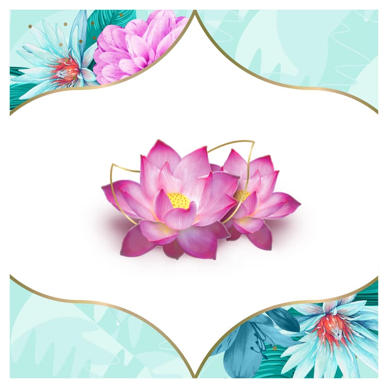 Discreet Waterlily Multiform Tisztasági Betét