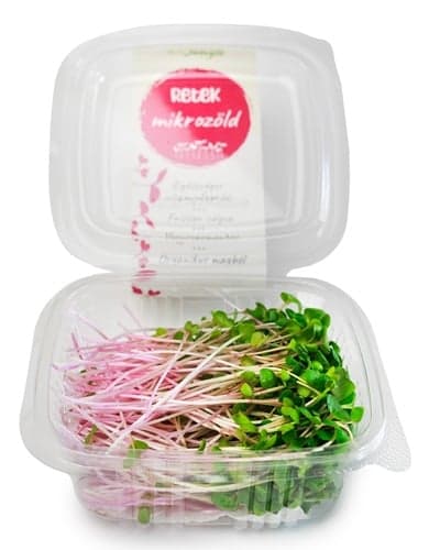 Radish Microgreen