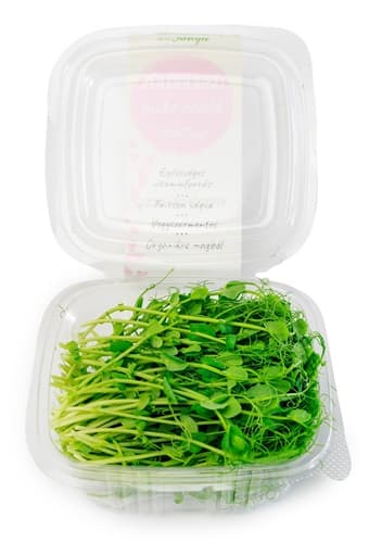 Green peas Microgreen