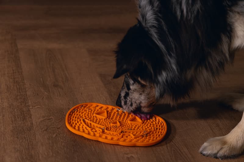 Beeztees Halloween tök formájú licnking mat kutyáknak, 23 cm