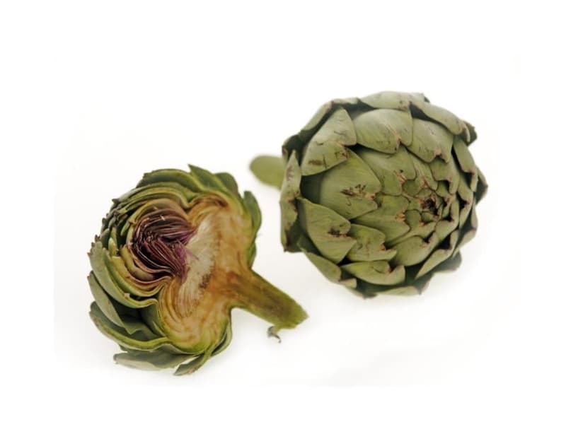 Titbit Artichoke