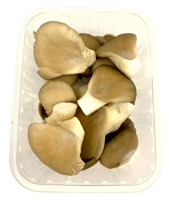 Leaf mushroom