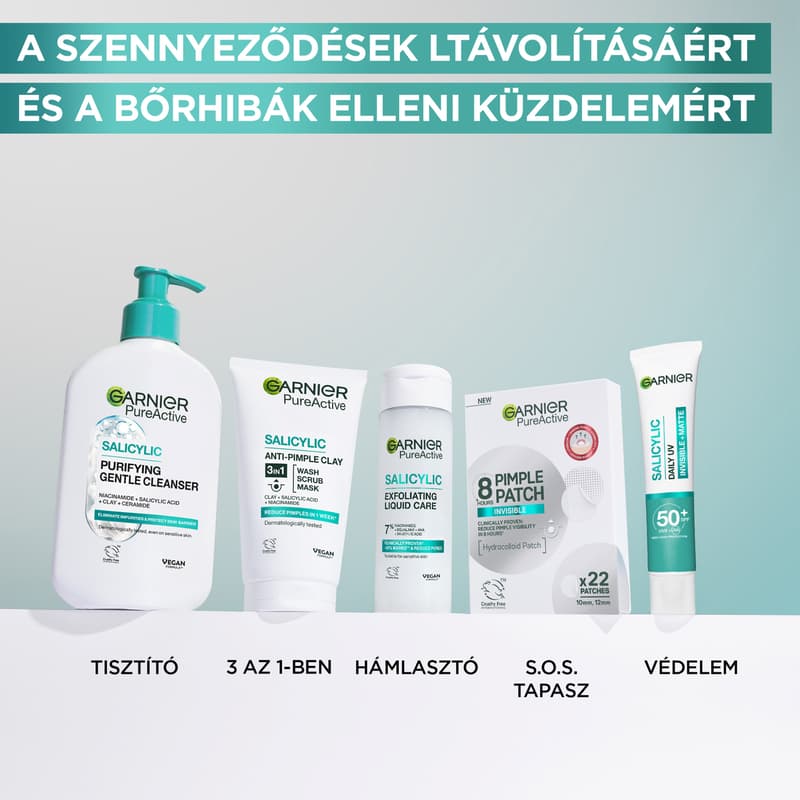 Garnier Skin Naturals Pure 3in1 Cleansing Gel